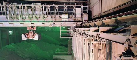Bulk Cranes