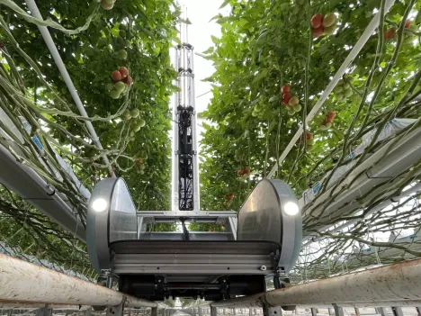 Fravebot Transport Robots