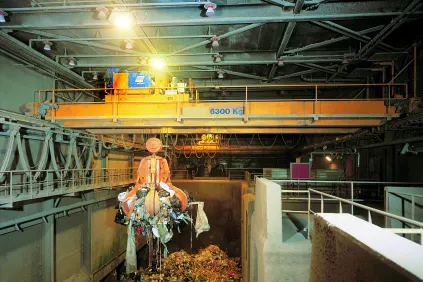 Waste Handling Crane