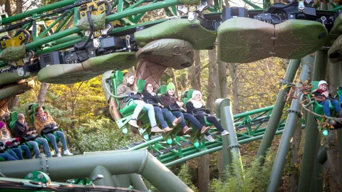 Family Coaster