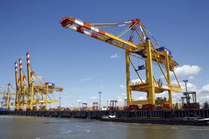 STS Cranes (Ship to Shore Cranes)