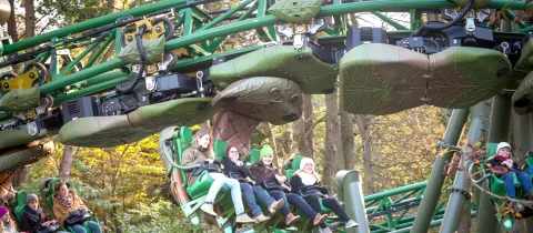 Family Coaster