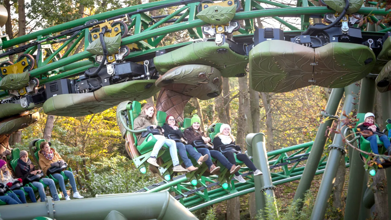 Family Coaster