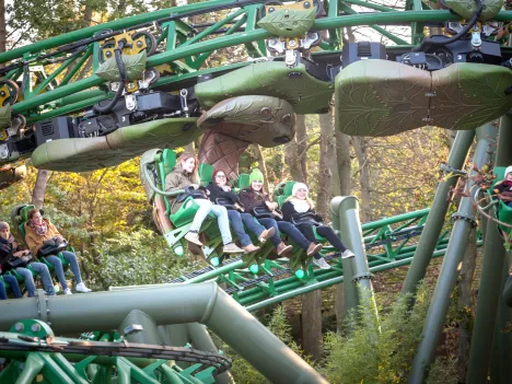 Family Coaster